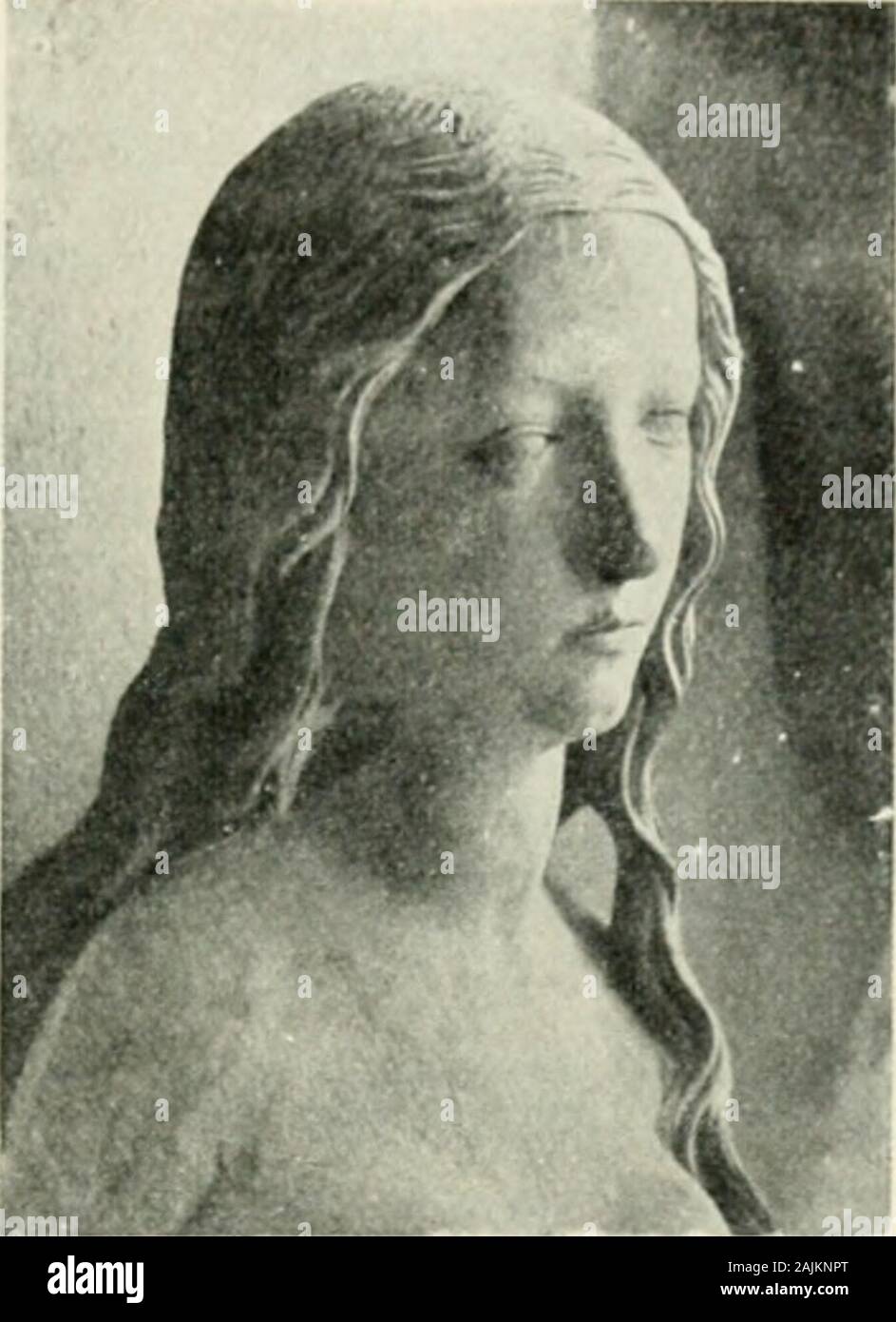 Page 9 - Mest High Resolution Stock Photography and Images - Alamy
