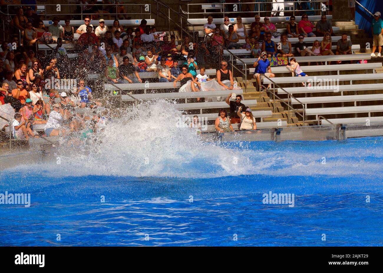 Tourists getting soaked after watching Killer whales in Seaworld Stock Photo