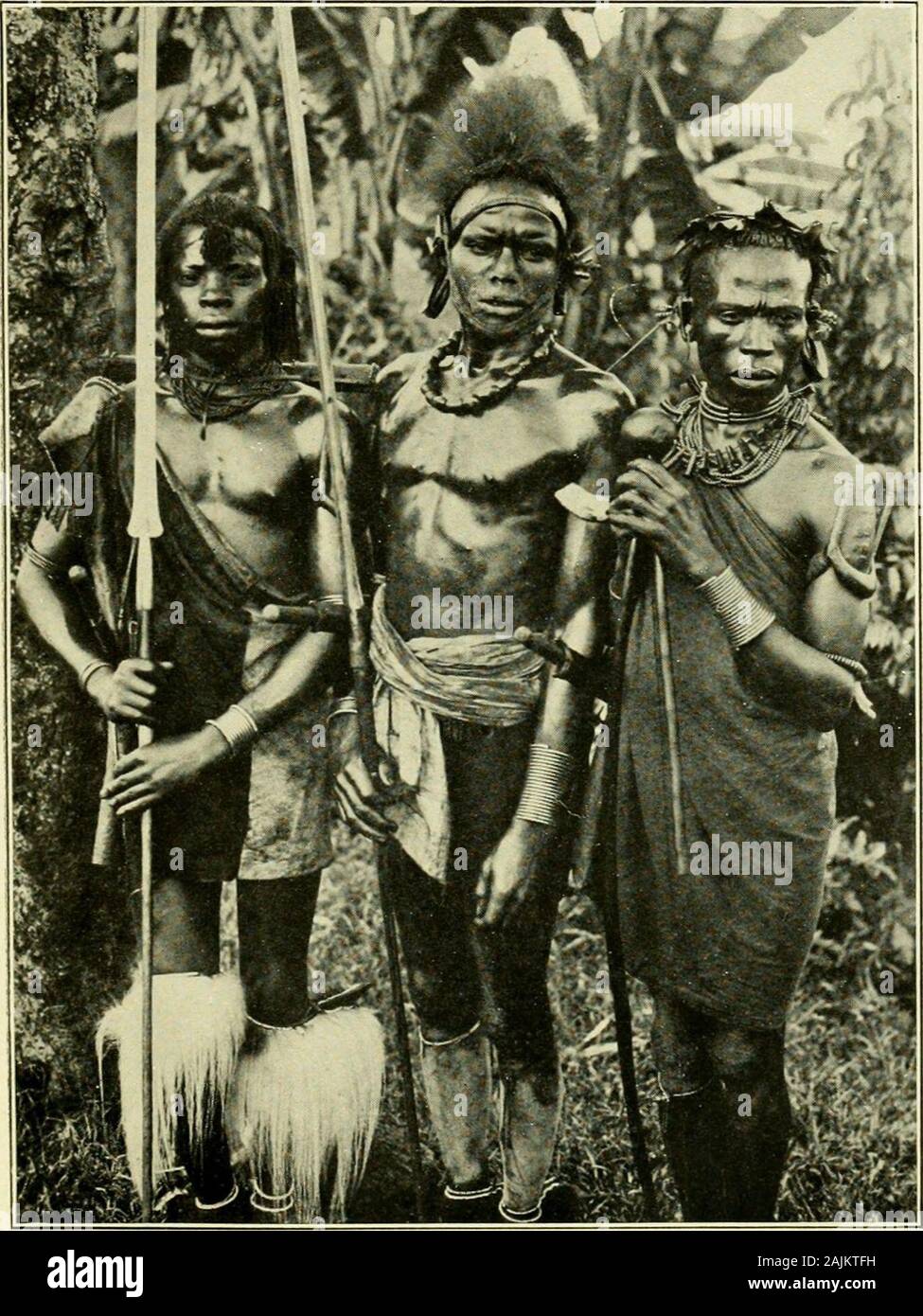 In wildest Africa : the record of a hunting and exploration trip through Uganda, Victoria Nyanza, the Kilimanjaro region and British East Africa, with an account of an ascent of the snowfields of Mount Kibo, in East Central Africa, and a description of the various native tribes . d it,thinking that the forest is infested with evil spirits.Being nine thousand feet above the sea the cold atnight and the torrential rains keep the superstitiousaborigines out of it. Just as the sun rises the Masai shepherds lettheir herds of cattle, goats, and sheep walk out ofthe zareba into the open plain to bask Stock Photo