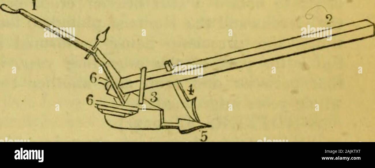 School dictionary of Greek and Roman antiquities . ARATRUM, PiOOGH. beam (3), the huris or plough-tail (4), andthe handle or stiva (5). It correspondsin all essential particulars with the ploughnow used about Mantua and Venice, ofwhich an engraving is cjiven below.. ARATRUM, PLOUGH. 1. Buris. 2. Temo. 3. Dentale. 4. Culter.5. Vomer. 6G. Aures. The Greeks and Romans usually ploughedtheir land three times for each crop. Thefirst ploughing was called proscindere, ornovate (veovadai, vid^eaOai); the secondoffringere, or iterate; and the third, lirare,or tertiare. The field which underwent the pros Stock Photo