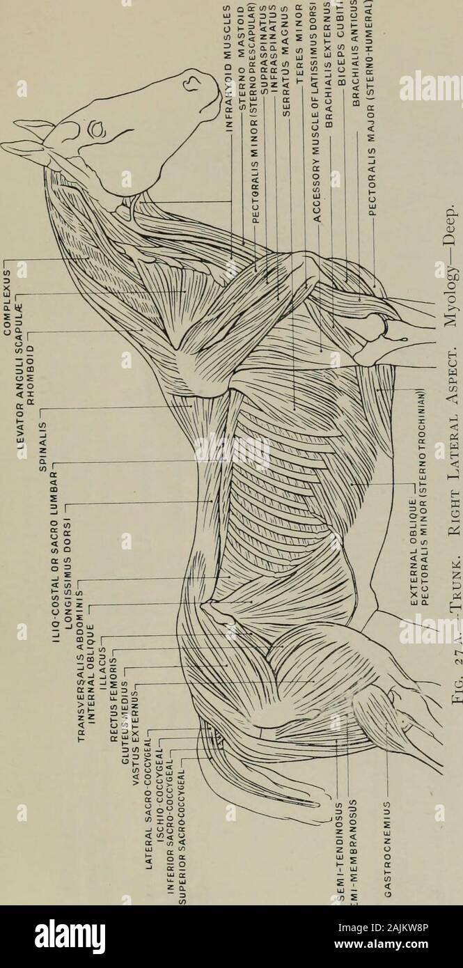 Modelling A Guide For Teachers And Students A 12 Lt U 1 1 O T3 2 I O T3 U G G C 3 Ji Rt C A Rt