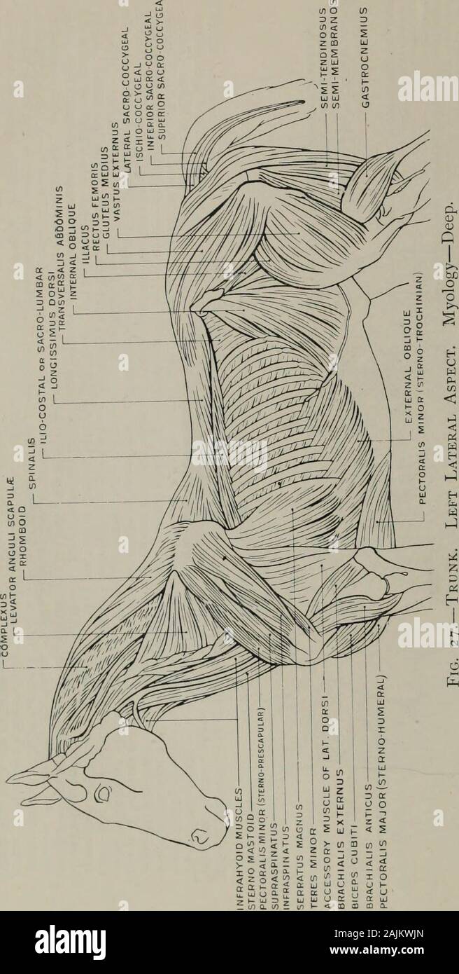 Modelling A Guide For Teachers And Students S Q Lt O C S J 5 2 2 S G Is I C