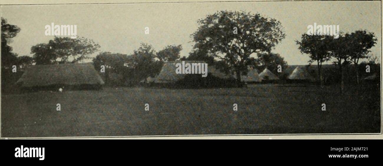 From the Congo to the Niger and the Nile an account of The German