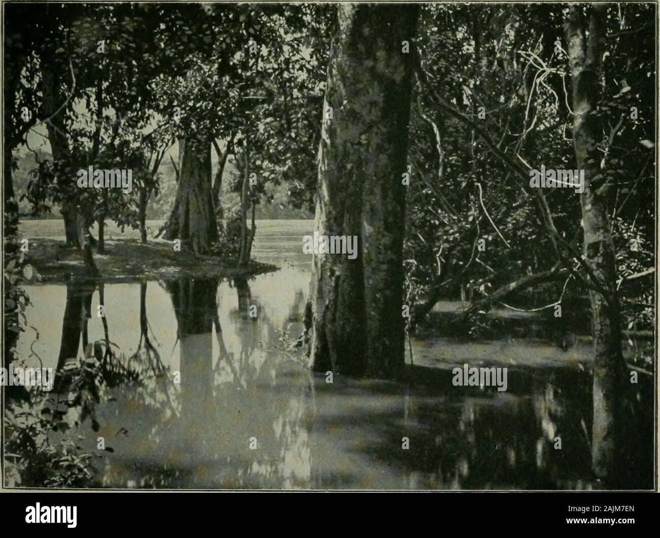 Libenge hires stock photography and images Alamy