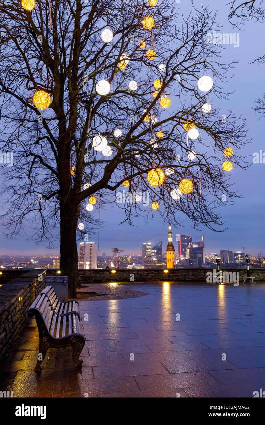 Tall bare tree decorated with illuminated balls at a viewpoint in Tallinn, Estonia Stock Photo