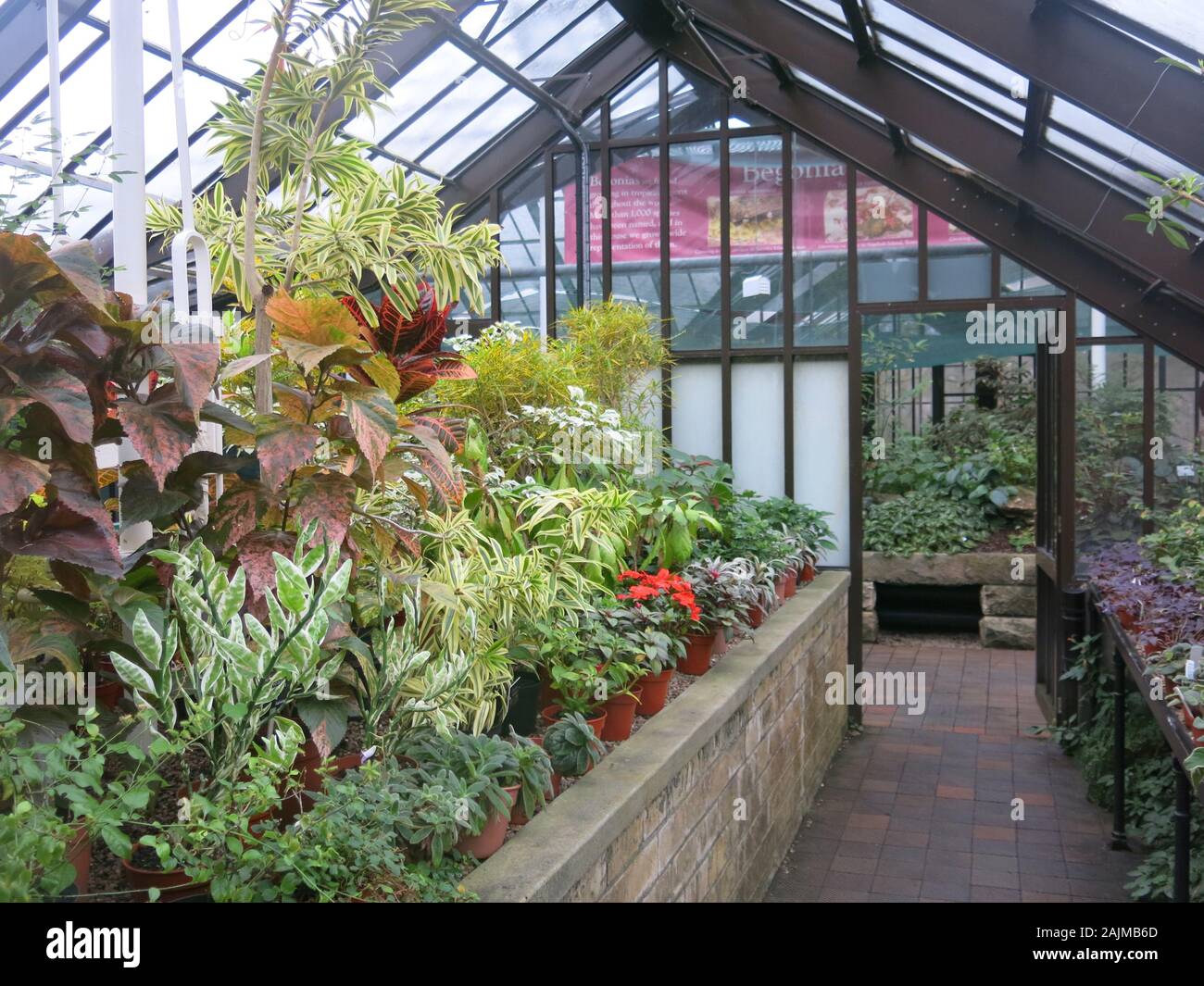 A display of potted houseplants with variegated foliage in a raised bed
