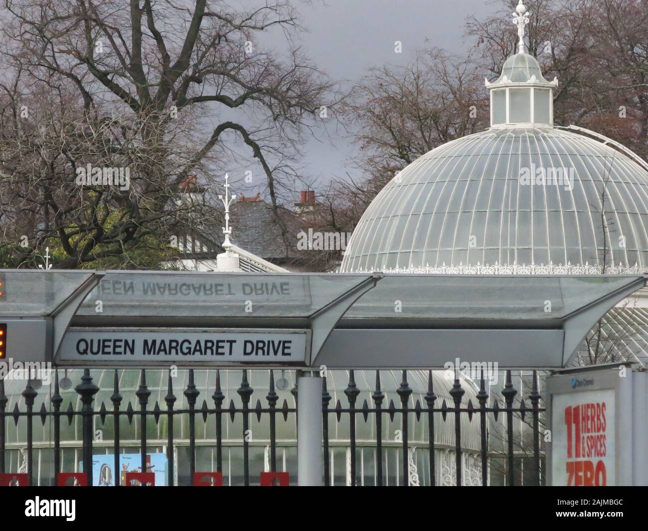 The busstop on Queen Margaret Drive for Glasgow Botanic Gardens, with the dome of the