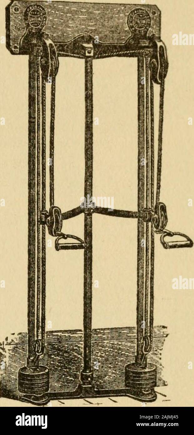 Gymnastics And Rope Climbing Spaldinsr Chest Weight No 2 No 2