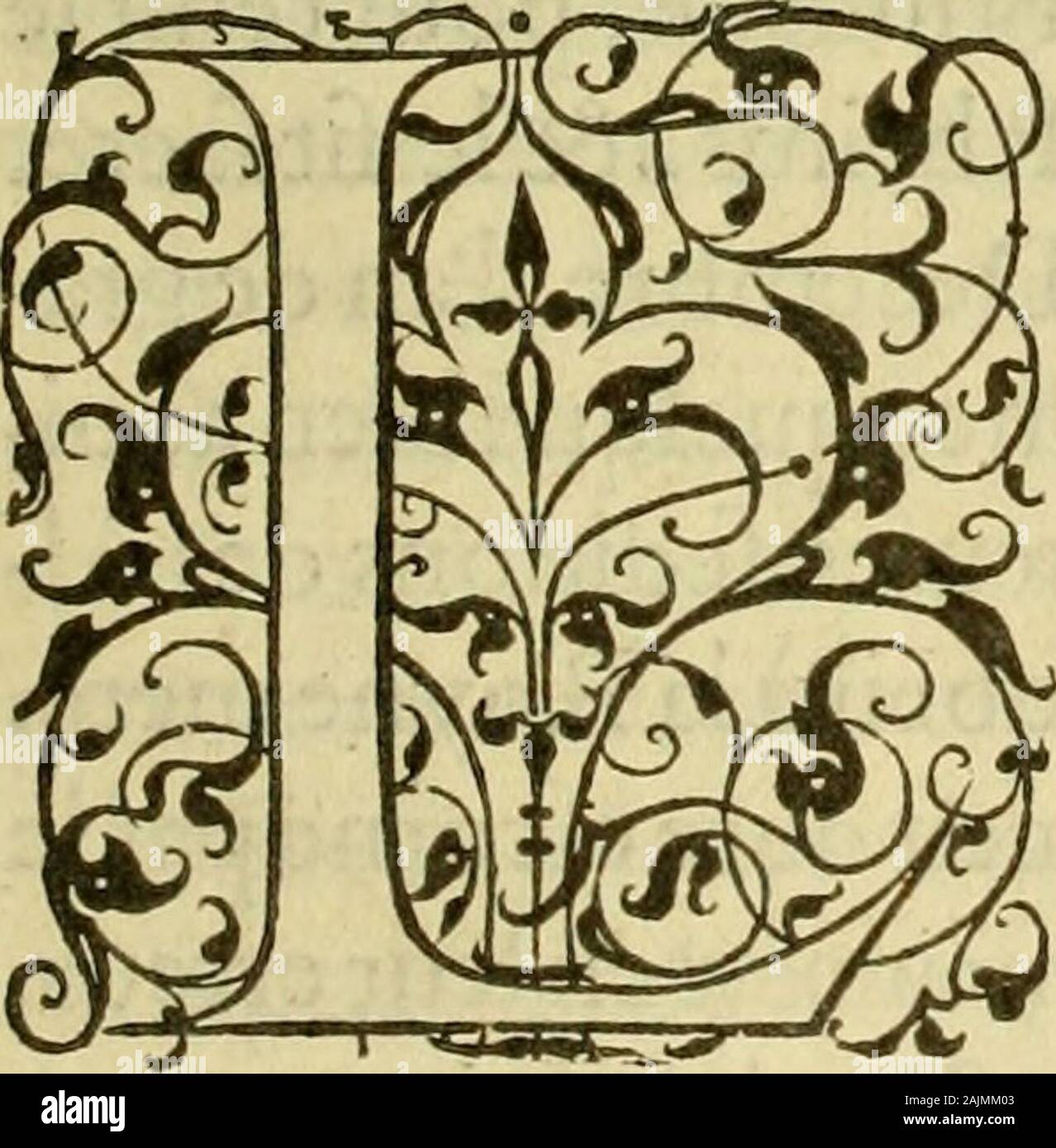 Les vrais pourtraits et vies des hommes illustres grecz, latins et payens . rangsfaits, E S heureufes conqueftes , que fift Gode-froy de Buillon, bC les autres lëigneurs croi-feZjqui firent le voyage d outremer/ernblctmauoir fait enuie de propofer la vie de cemagnanime 6c tref-uertueux Roy Loys,neufiefi-nedu nom,non quelefubiedne foitaffez ample &; fpacieux, pour fefbatre, ouquil ne mérite de tenir 1 vn des premiersentre tous les hommes Illuftres : Dailleurs lhiftoire de fcsdits&: 2^z9iQs eftant affez couftumiere à ceux, qui prennent Kk iii. Vie des Hommes Illuflres plaifir dentendre parler de Stock Photo