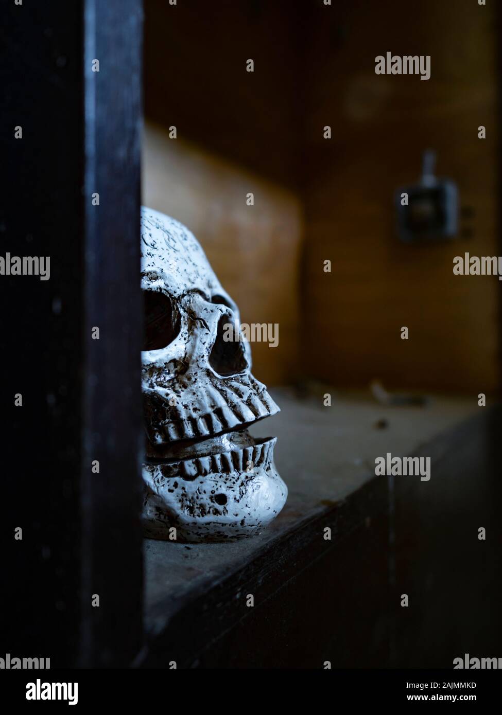 Skull isolated Stock Photo