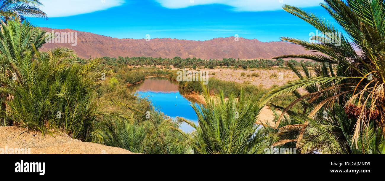 A view of the landscape of the river Draa, Morocco Stock Photo - Alamy