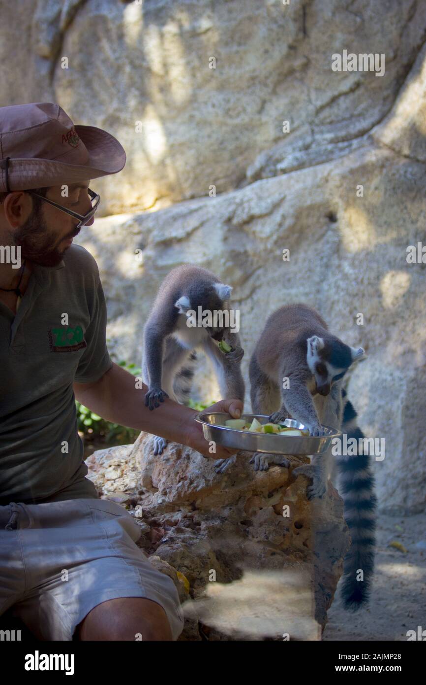 Zoo travel hi-res stock photography and images - Alamy