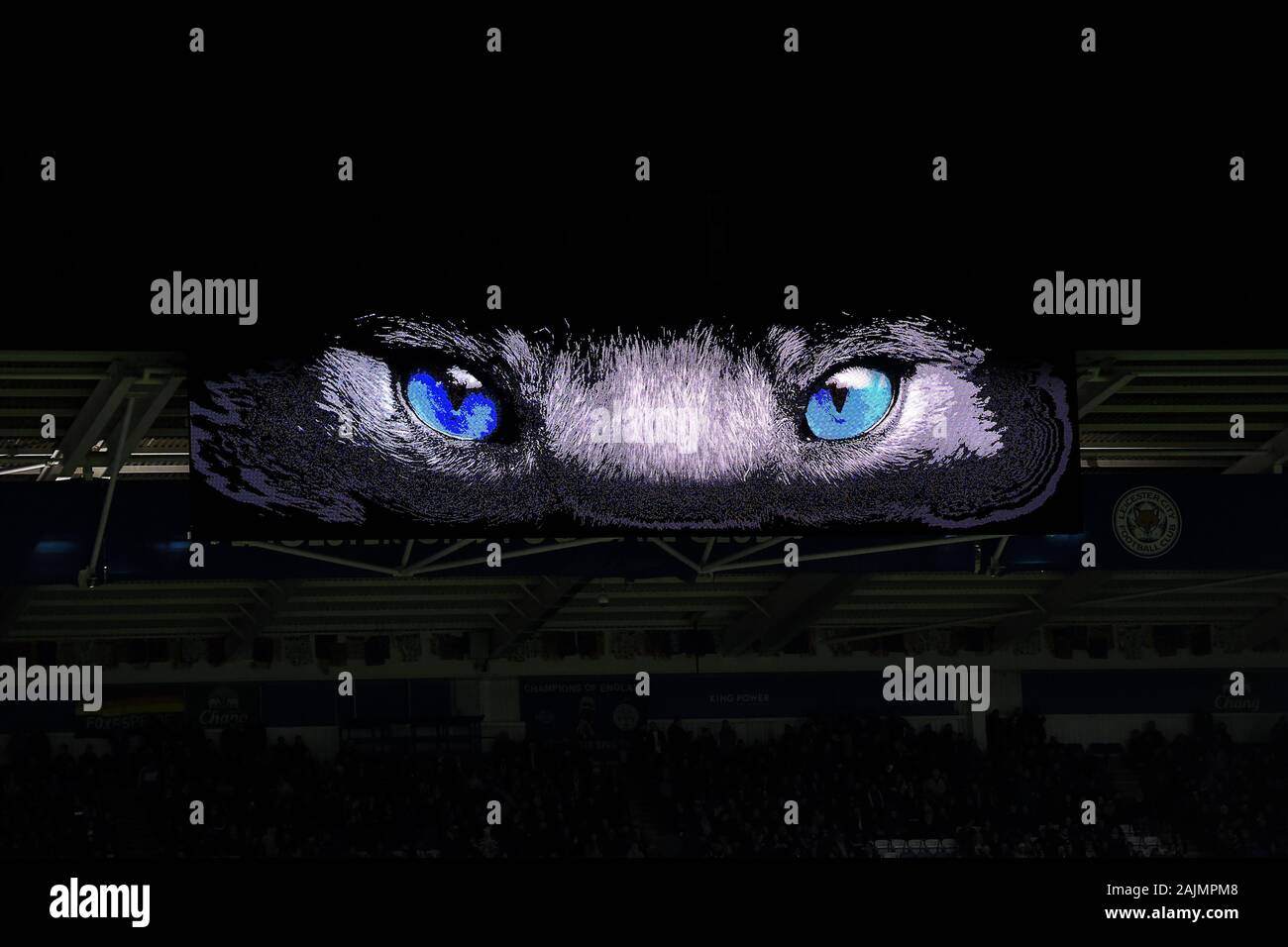 https://c8.alamy.com/comp/2AJMPM8/leicester-uk-4-january-2020-blue-fox-eyes-during-the-fa-cup-third-round-match-between-leicester-city-and-wigan-athletic-at-the-king-power-stadium-leicester-on-saturday-4th-january-2020-credit-jon-hobley-mi-news-photograph-may-only-be-used-for-newspaper-andor-magazine-editorial-purposes-license-required-for-commercial-use-credit-mi-news-sport-alamy-live-news-2AJMPM8.jpg