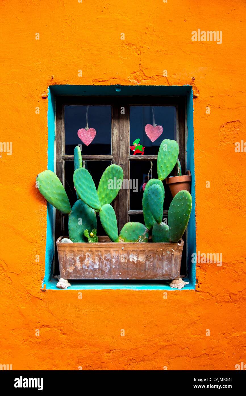Window of vibrant orange house with potted cactus plants in on Carrer del Polvorí, El Terreno, Palma, Mallorca, Spain Stock Photo