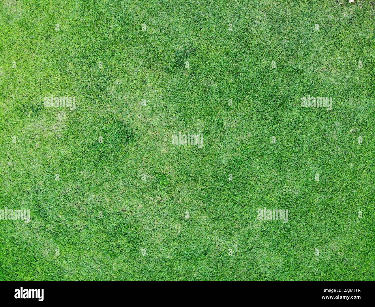 Grass Texture High Resolution Stock Photography And Images Alamy