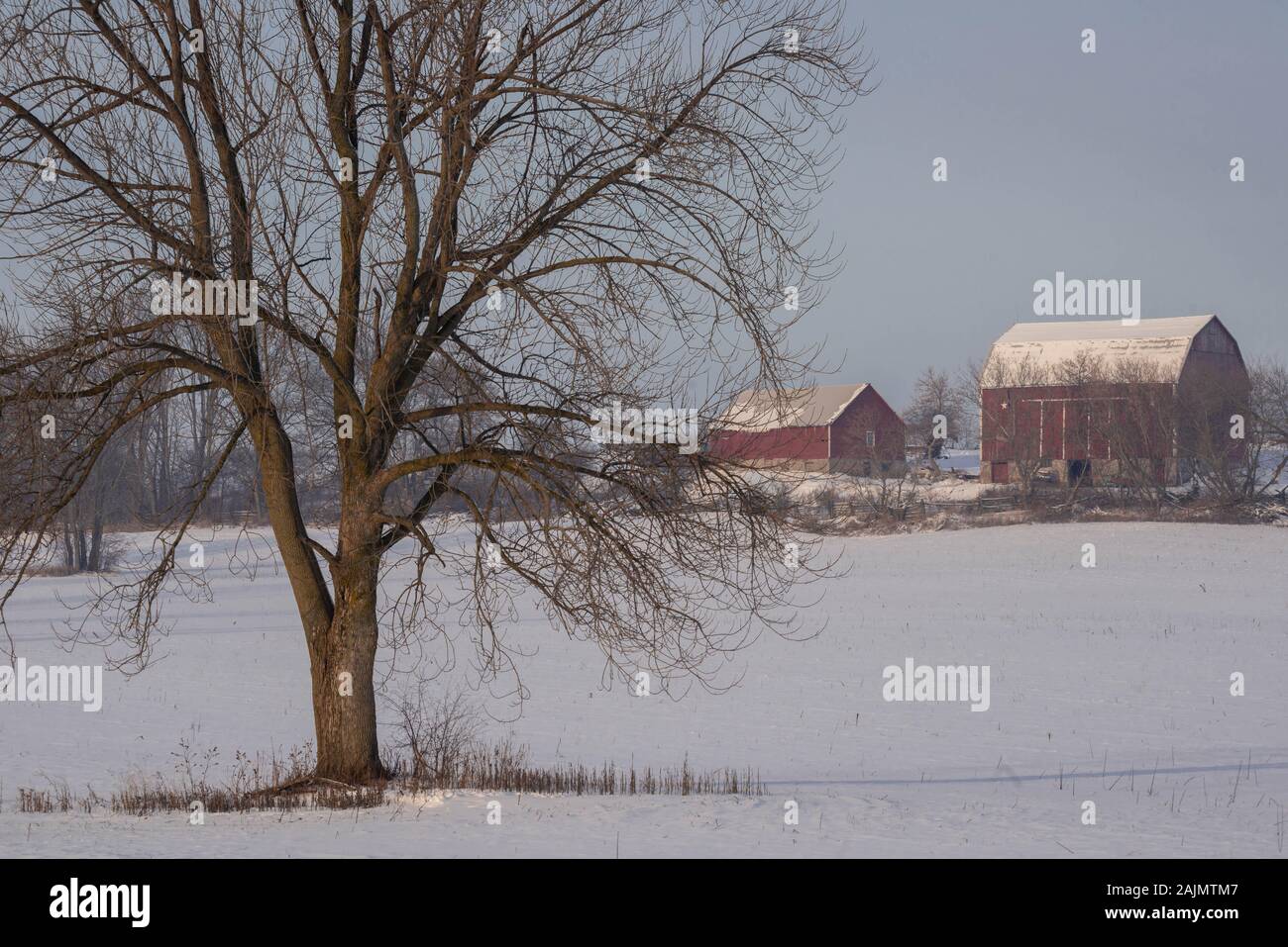 Red barn in winter hi-res stock photography and images - Alamy