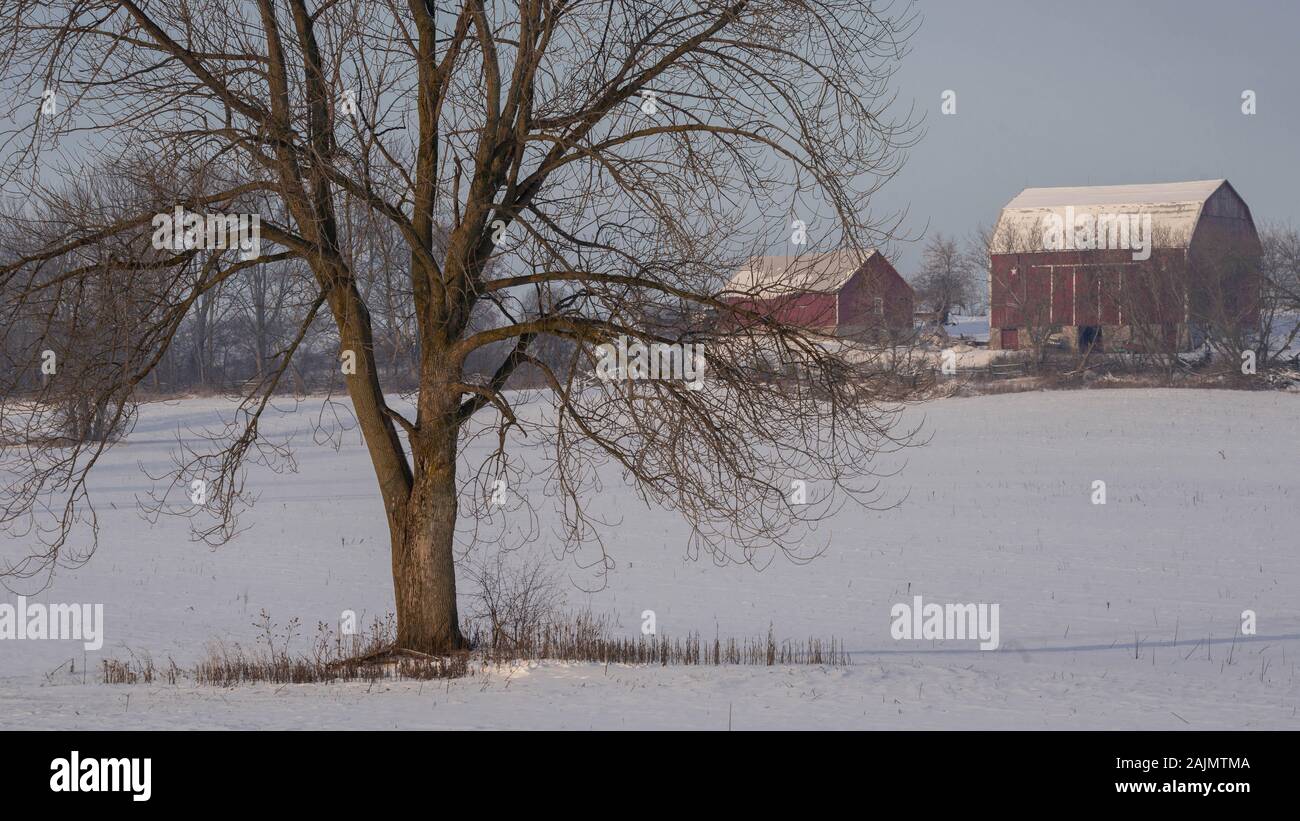 Red Barn In Winter White Snow Stock Photo