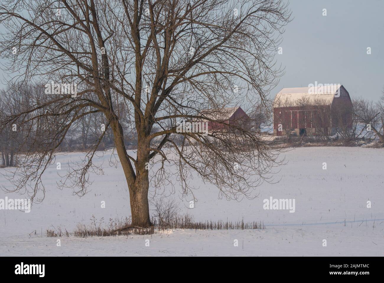 Red Barn In Winter White Snow Stock Photo
