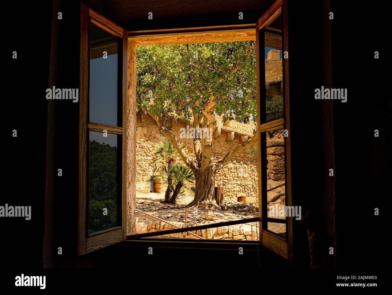 Windows - Reading Plans – Olive Tree