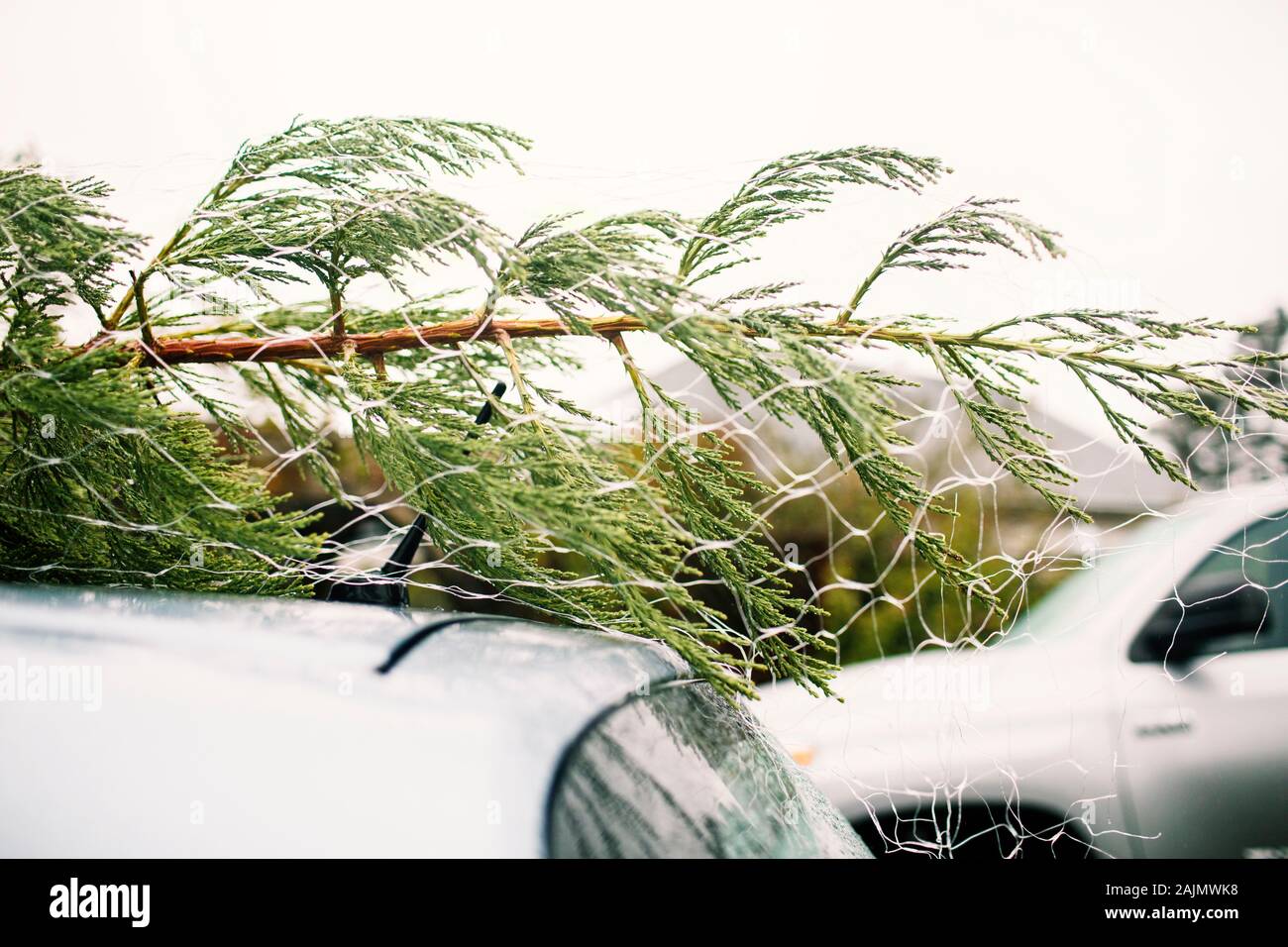 Christmas Tree Car Roof High Resolution Stock Photography and Images
