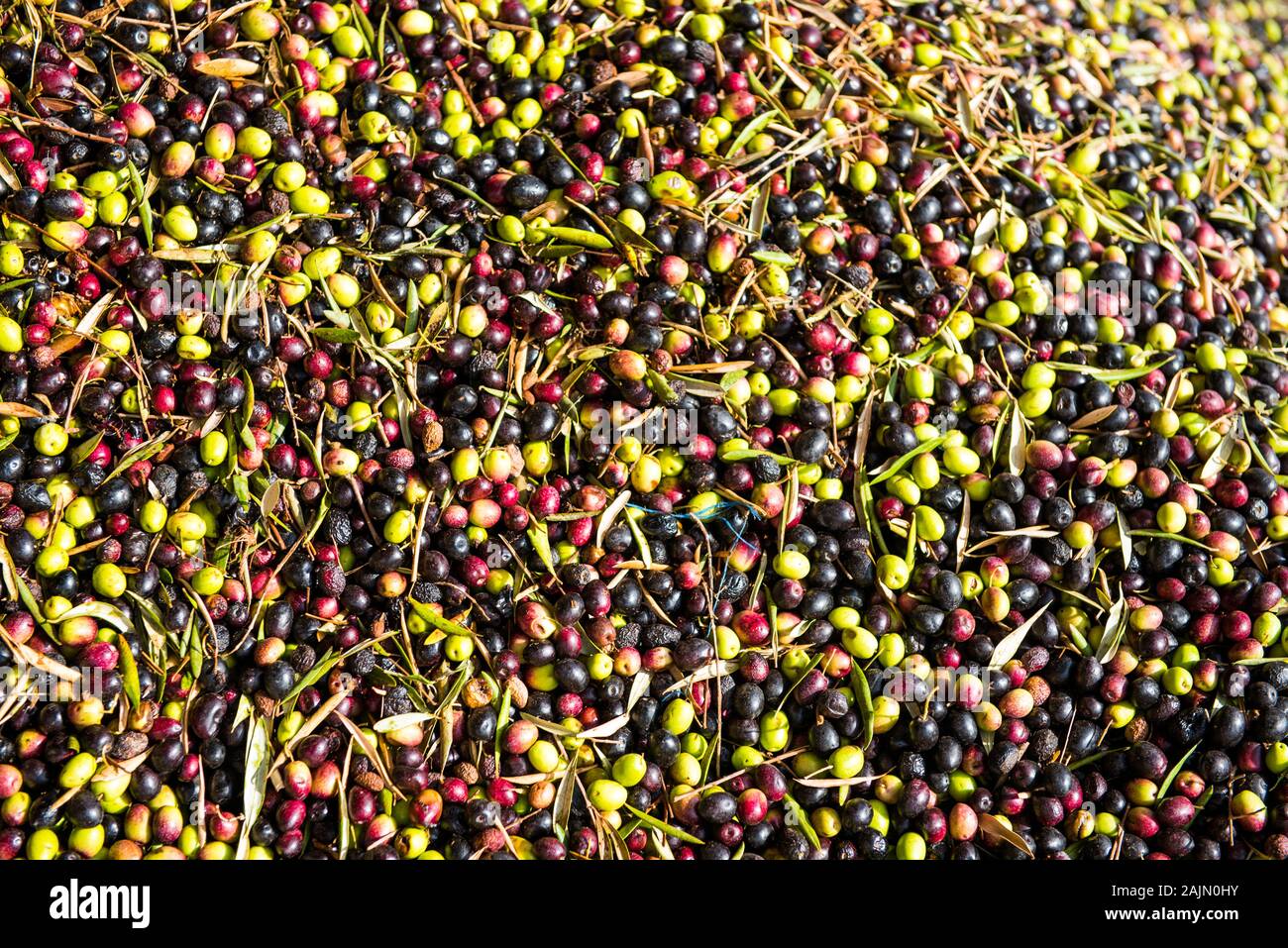 Top view green black olives hi-res stock photography and images - Alamy