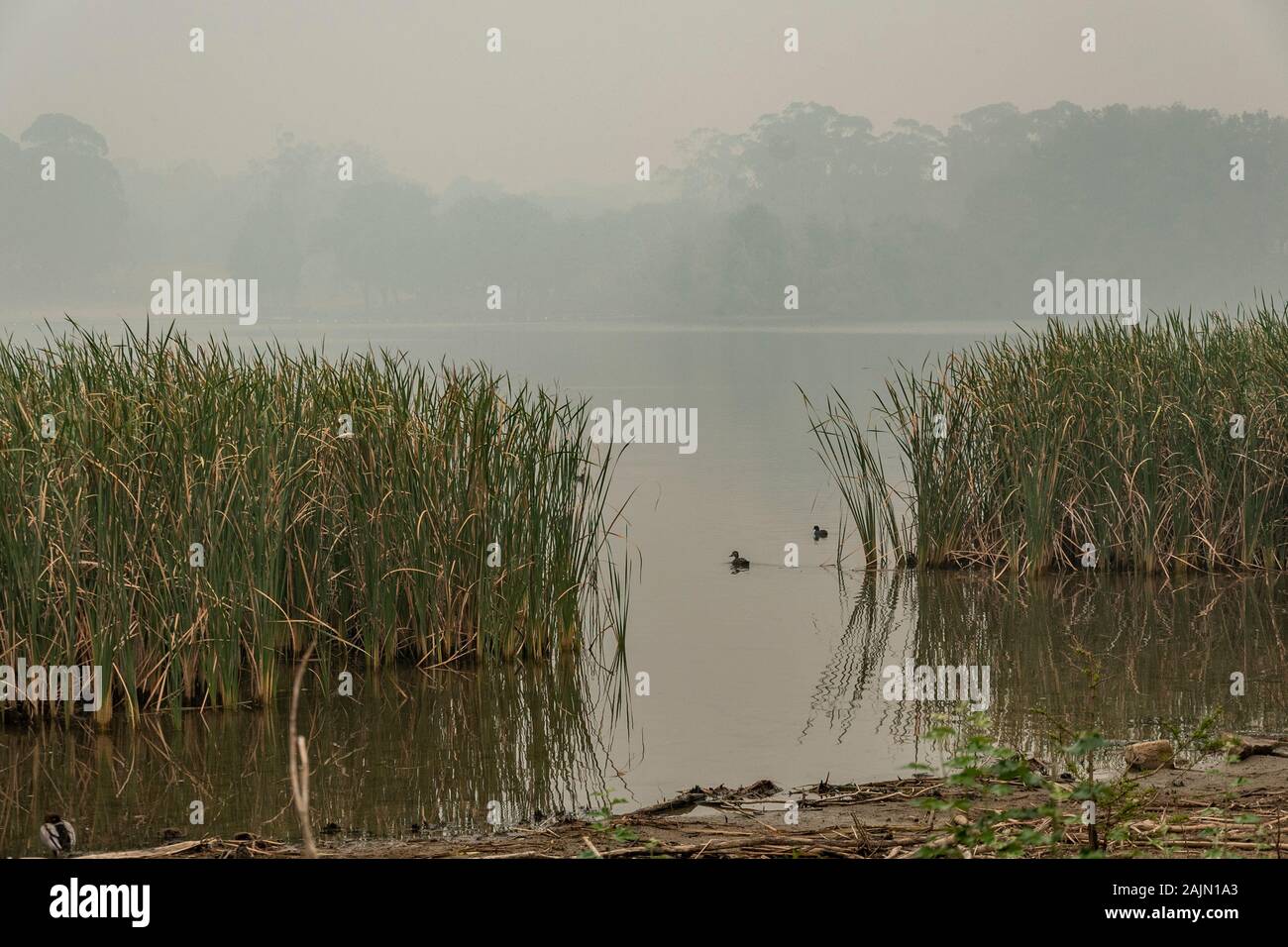 Bushfire smoke over Lake Burley Griffin, Canberra, Australia Stock ...