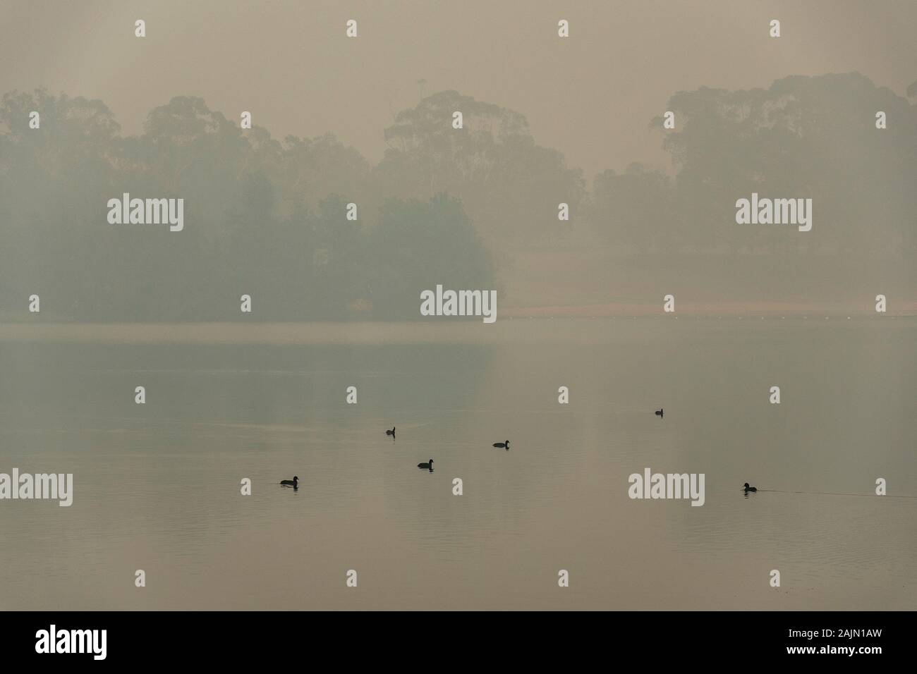 Bushfire smoke over Lake Burley Griffin, Canberra, Australia Stock ...