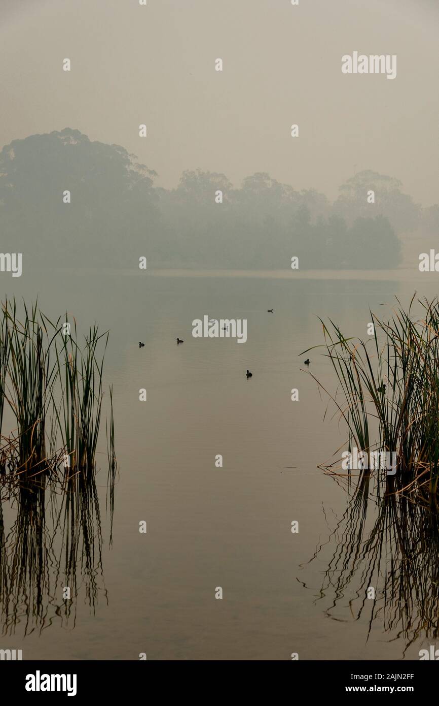 Bushfire smoke over Lake Burley Griffin, Canberra, Australia Stock ...