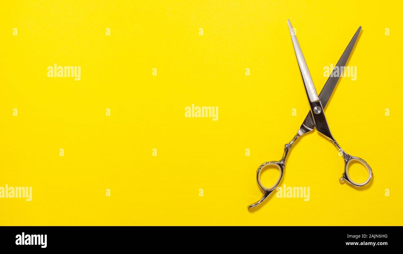 Flat lay of professional hair cutting shears on the right side on yellow background. Hairdresser salon equipment concept with copy space Stock Photo