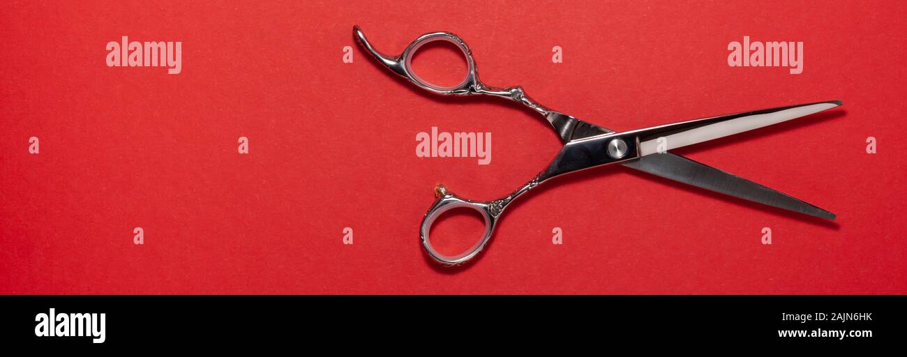Banner flat lay of professional hair cutting shears on the right side on red background. Hairdresser salon equipment concept with copy space Stock Photo