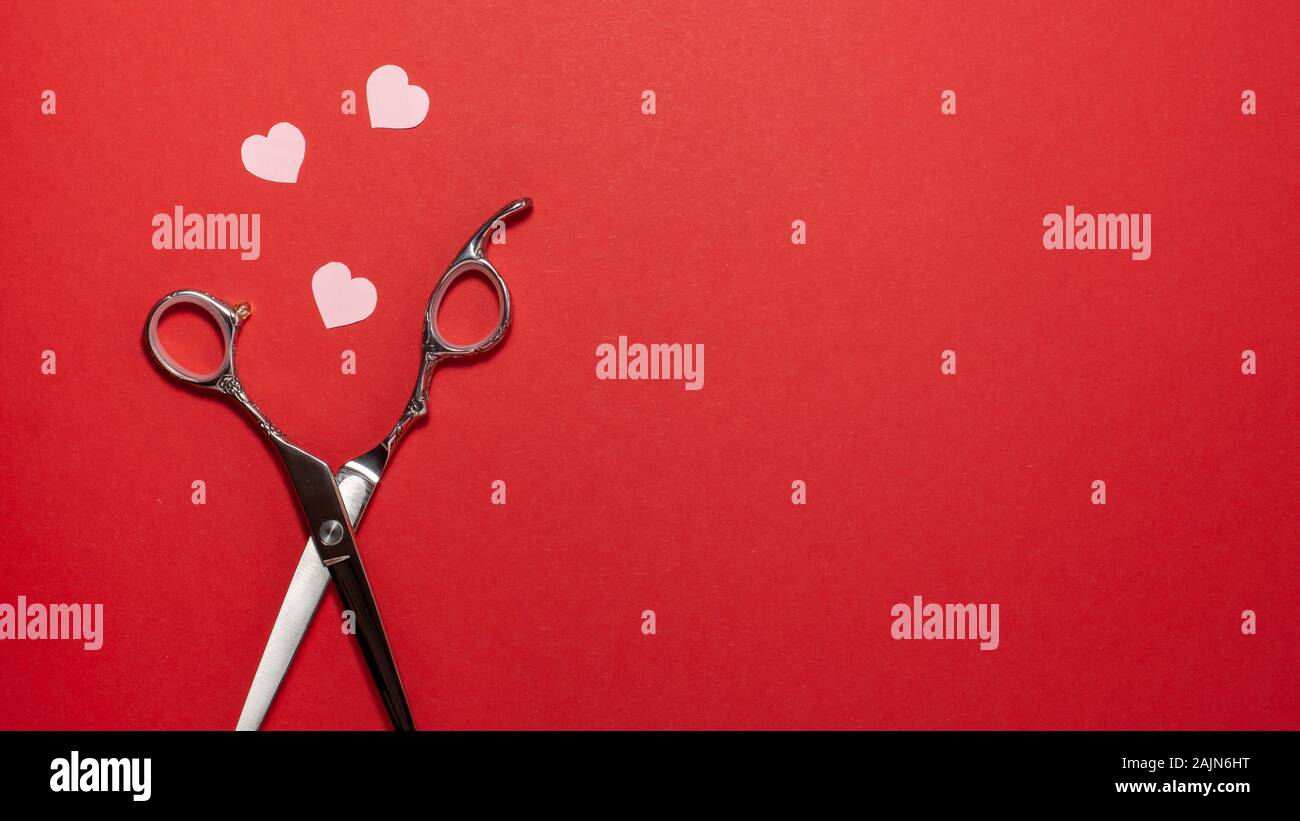 Top view flat lay of professional hair cutting shears and pink hearts on red background. Hairdresser salon equipment concept banner with copy space Stock Photo