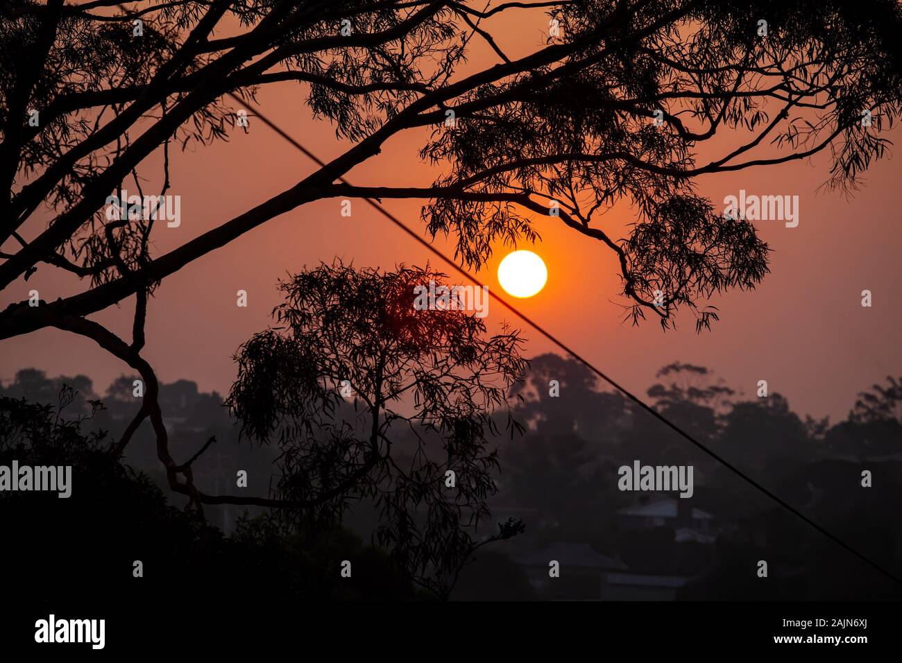 Vivid quality hi-res stock photography and images - Alamy