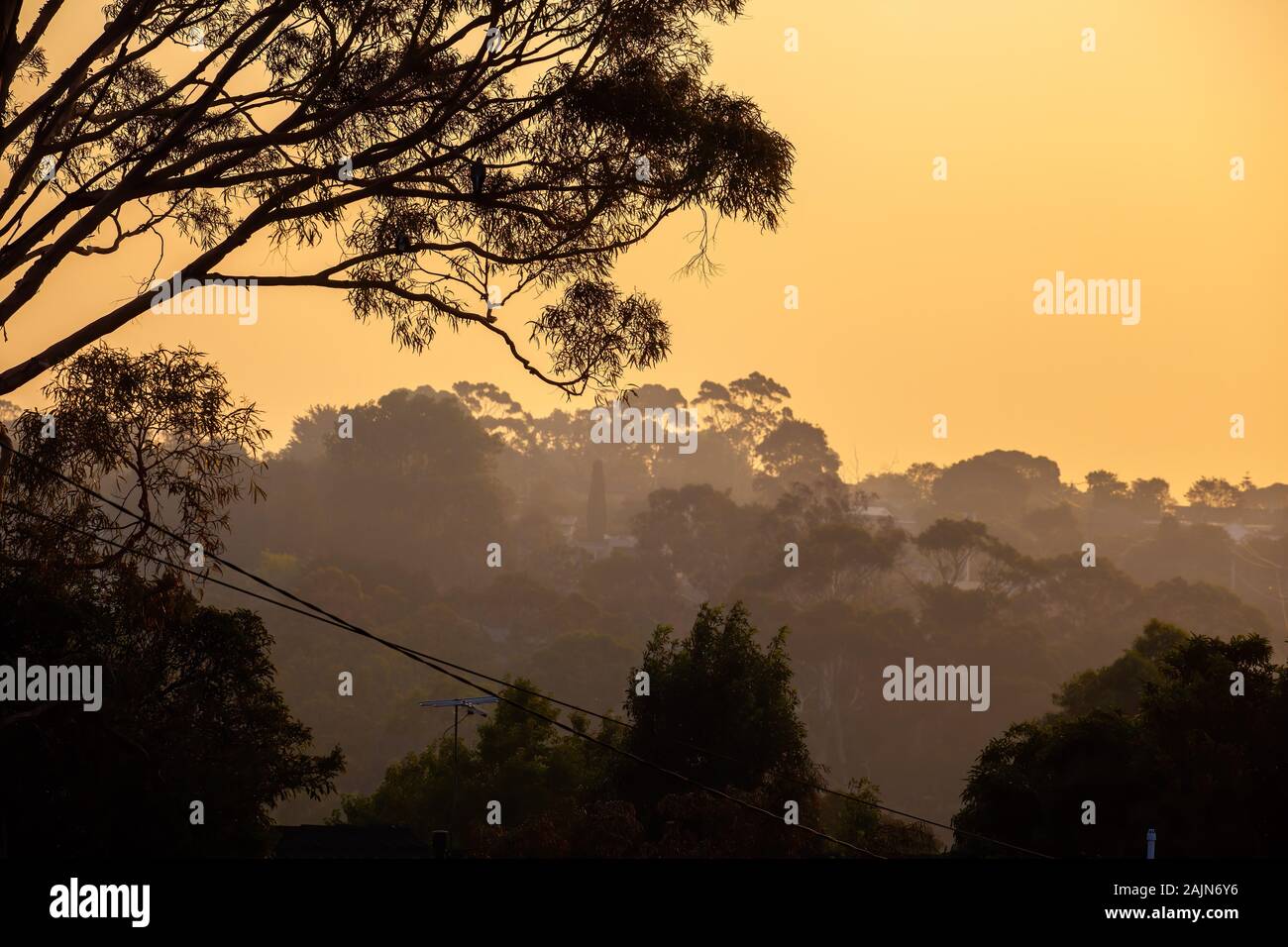 Rural area of Victoria under smoke haze from bush fires Stock Photo