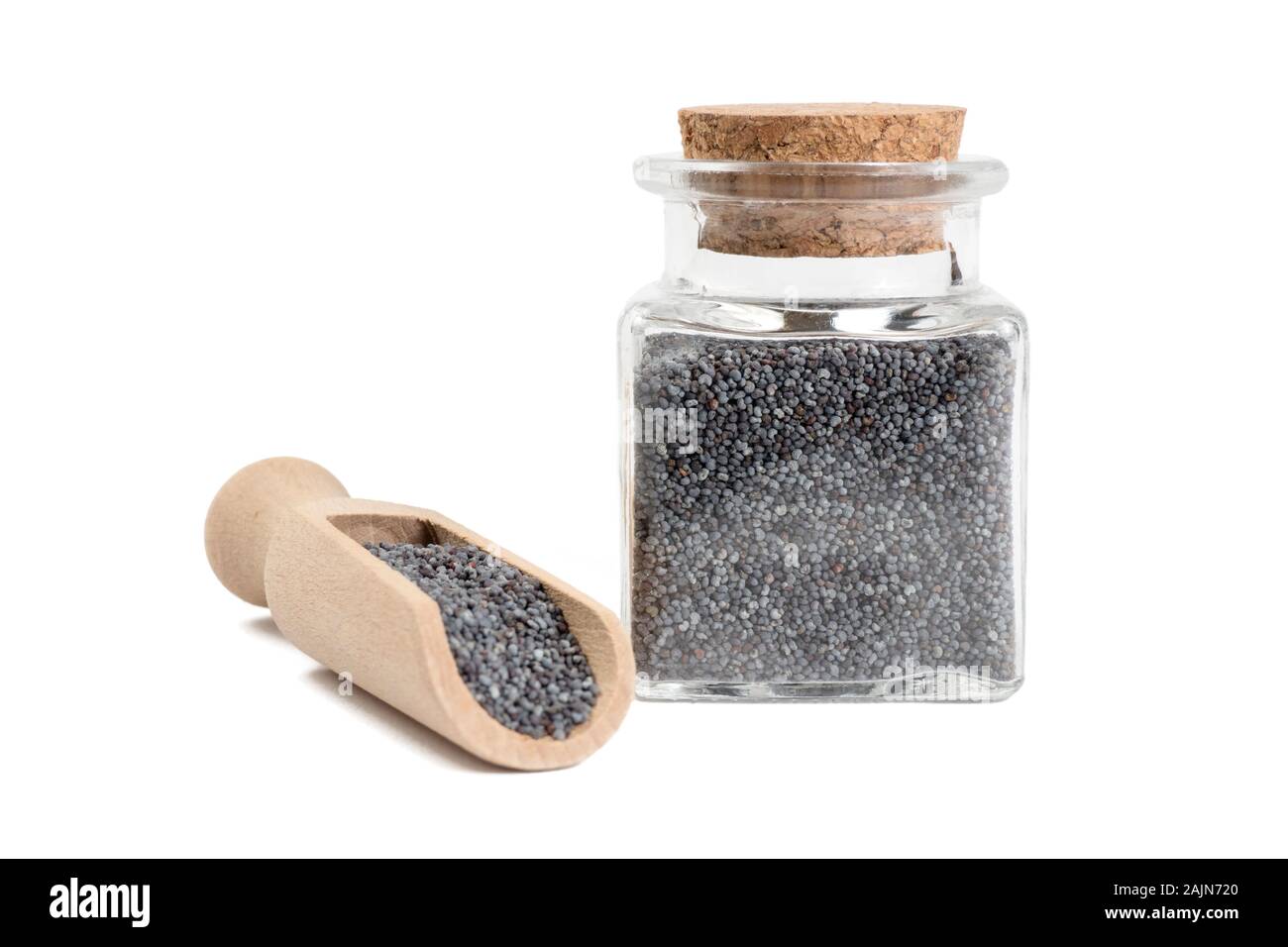 blue poppy seeds in wooden scoop and glass jar isolated on white