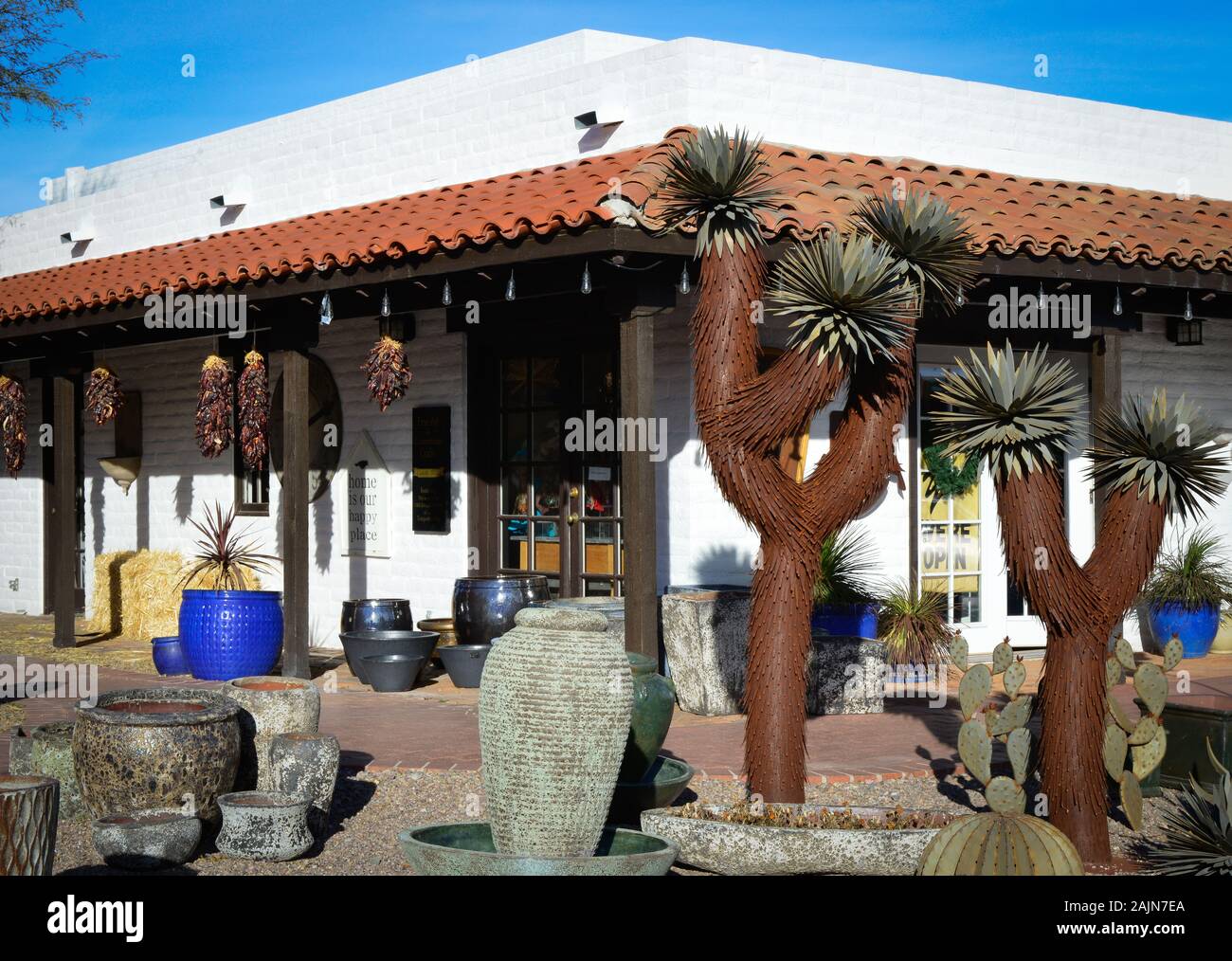 Amazing metal sculptures of Joshua Tree cacti on display outside of