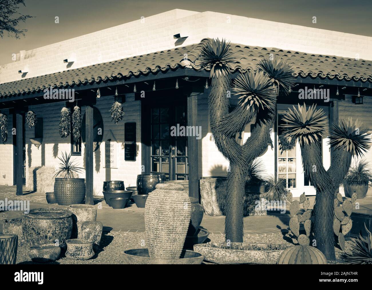 Amazing metal sculptures of Joshua Tree cacti on display outside of ZForrest Fine Art & Contemporary Gallery in old adobe brick building in Tubac, AZ Stock Photo