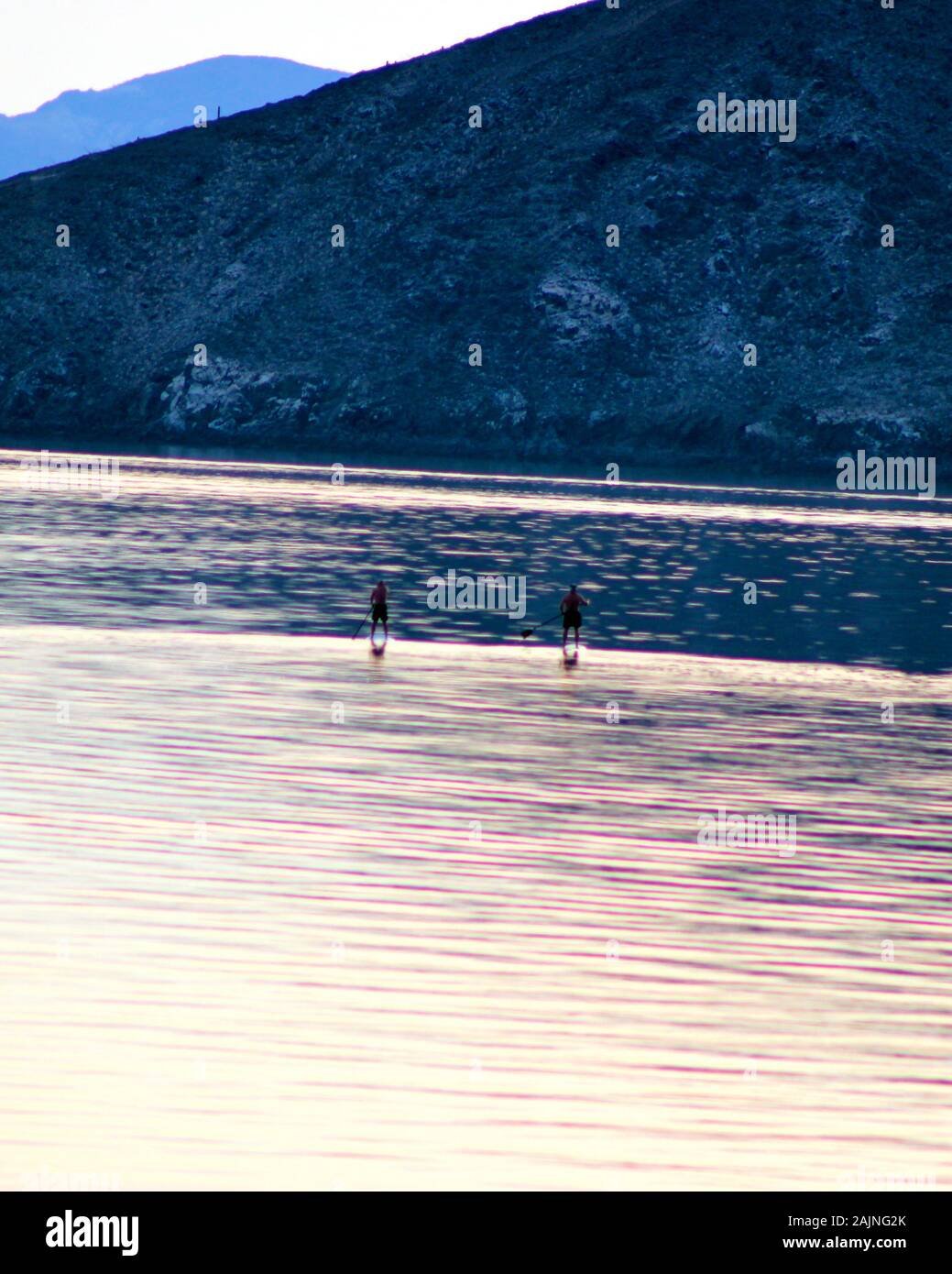 Paddle boarding Bay of LA Stock Photo Alamy