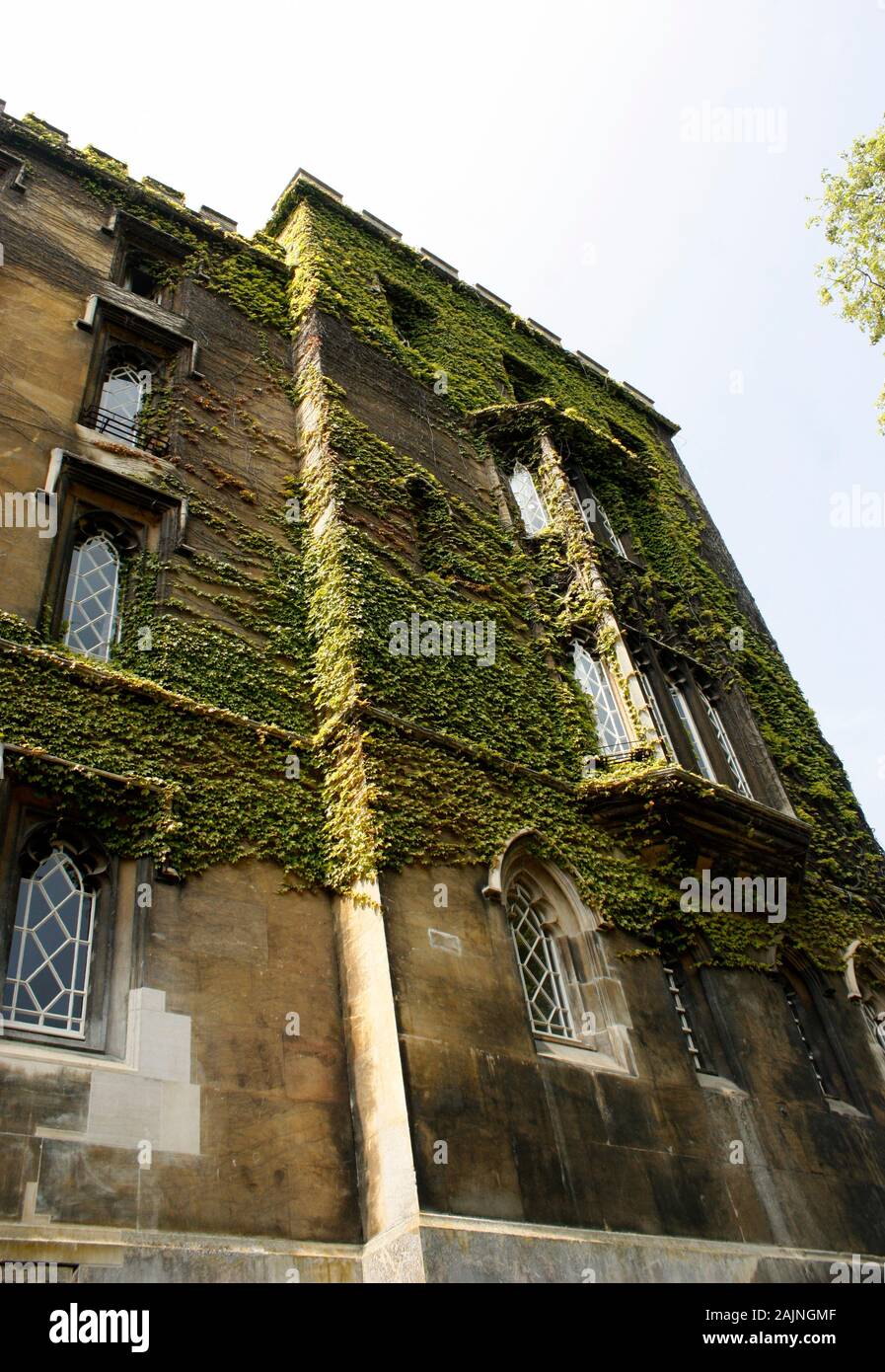 UK, Cambridge - College walls grown with moss Stock Photo