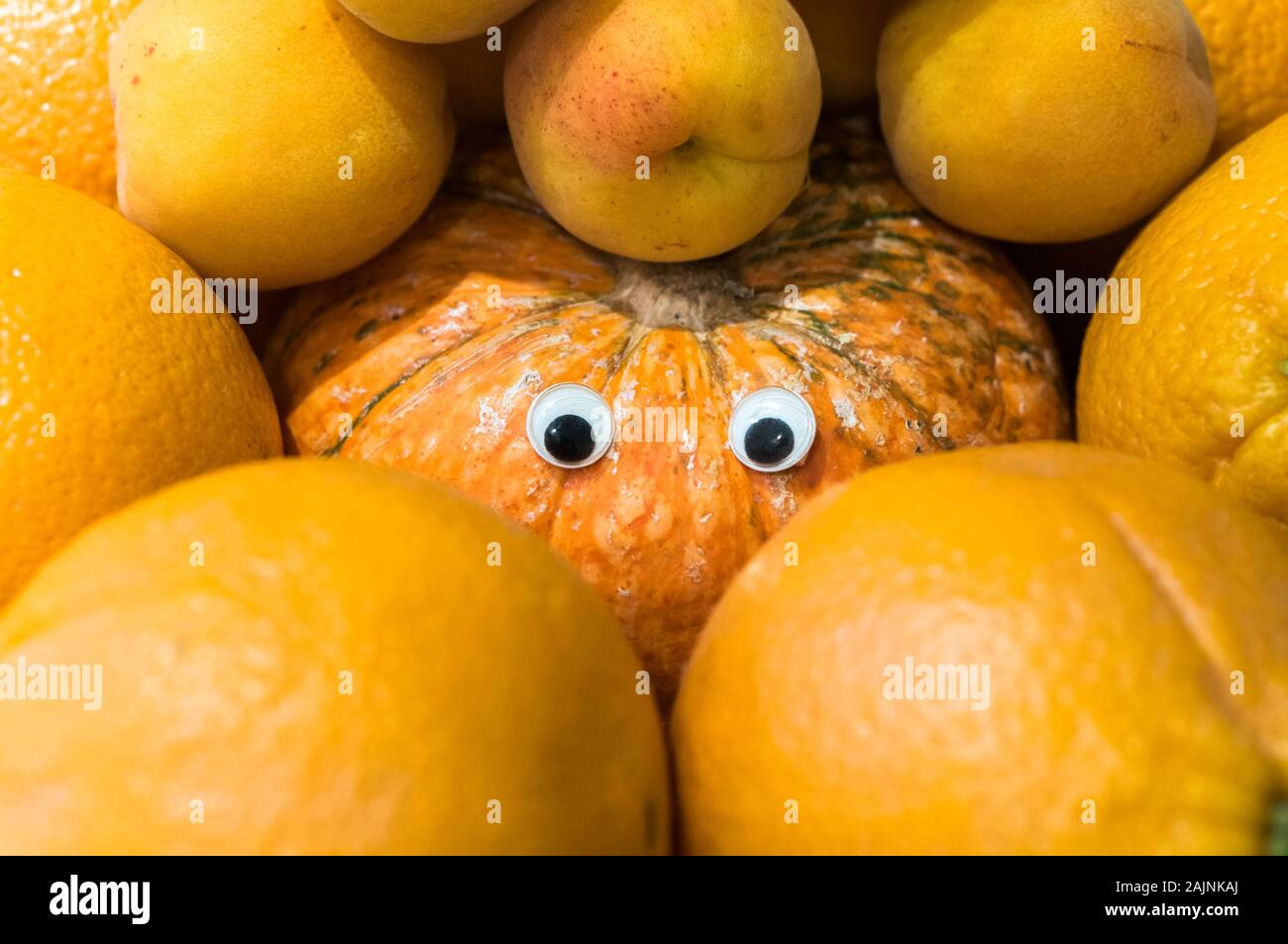 Concept of pumpkin with artificial eyes surrounded by oranges, imitating to be one of them. Stock Photo