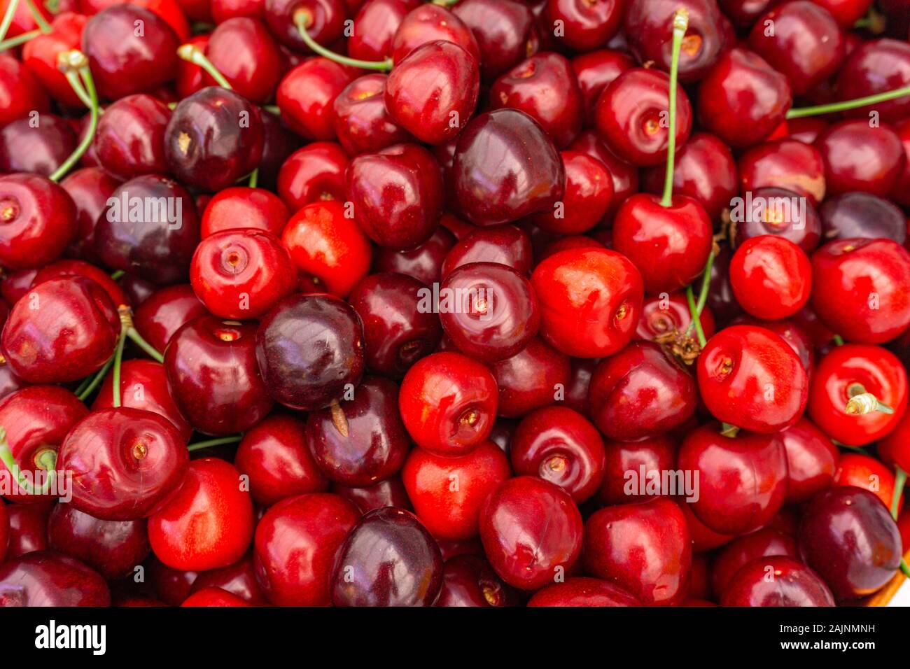 Pile of ripe cherries with stalks and leaves. Large collection of fresh red cherries. Ripe cherries background. Stock Photo