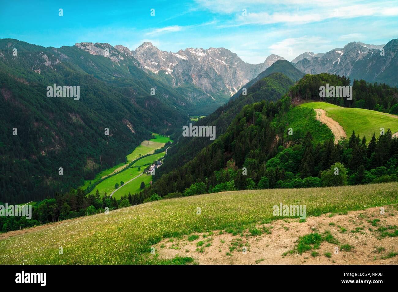 Beautiful spring landscape with alpine meadows and snowy mountains in Slovenia. Logarska Dolina and alpine forest with green fields from the Solcava p Stock Photo