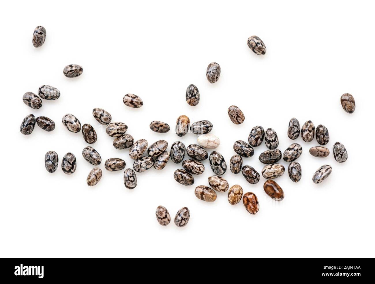 Closeup macro of small organic chia seeds isolated on a white background Stock Photo