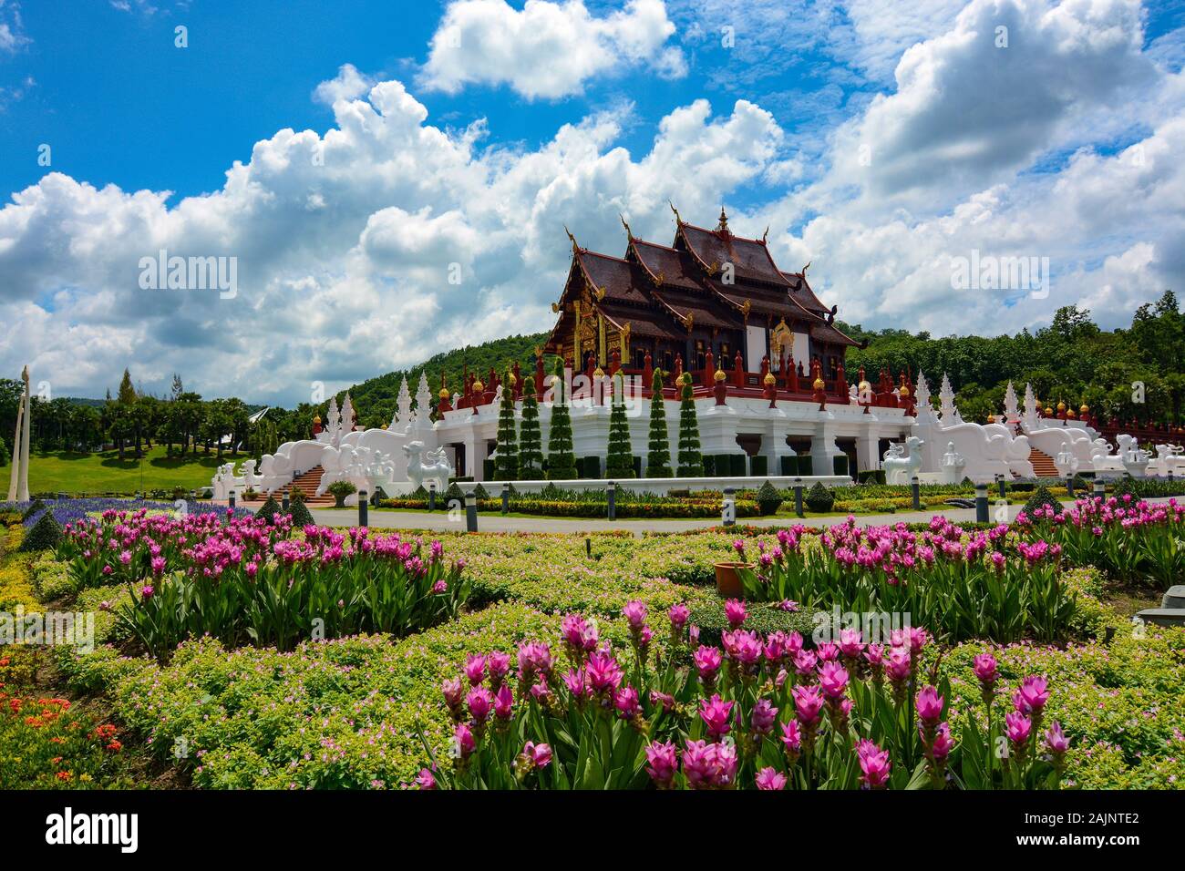 Pink flower gardens by the pavilion at Royal Park Rajapruek in Chiang Mai, Thailand Stock Photo