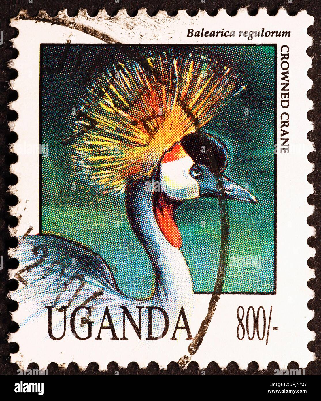 Crowned crane on postage stamp of Uganda Stock Photo
