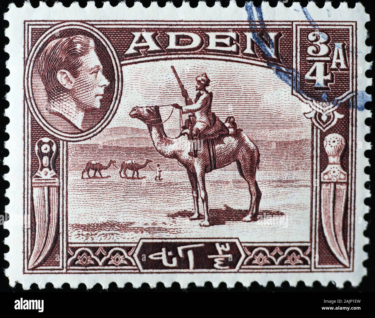 Soldier on dromedary in old stamp of Aden Stock Photo