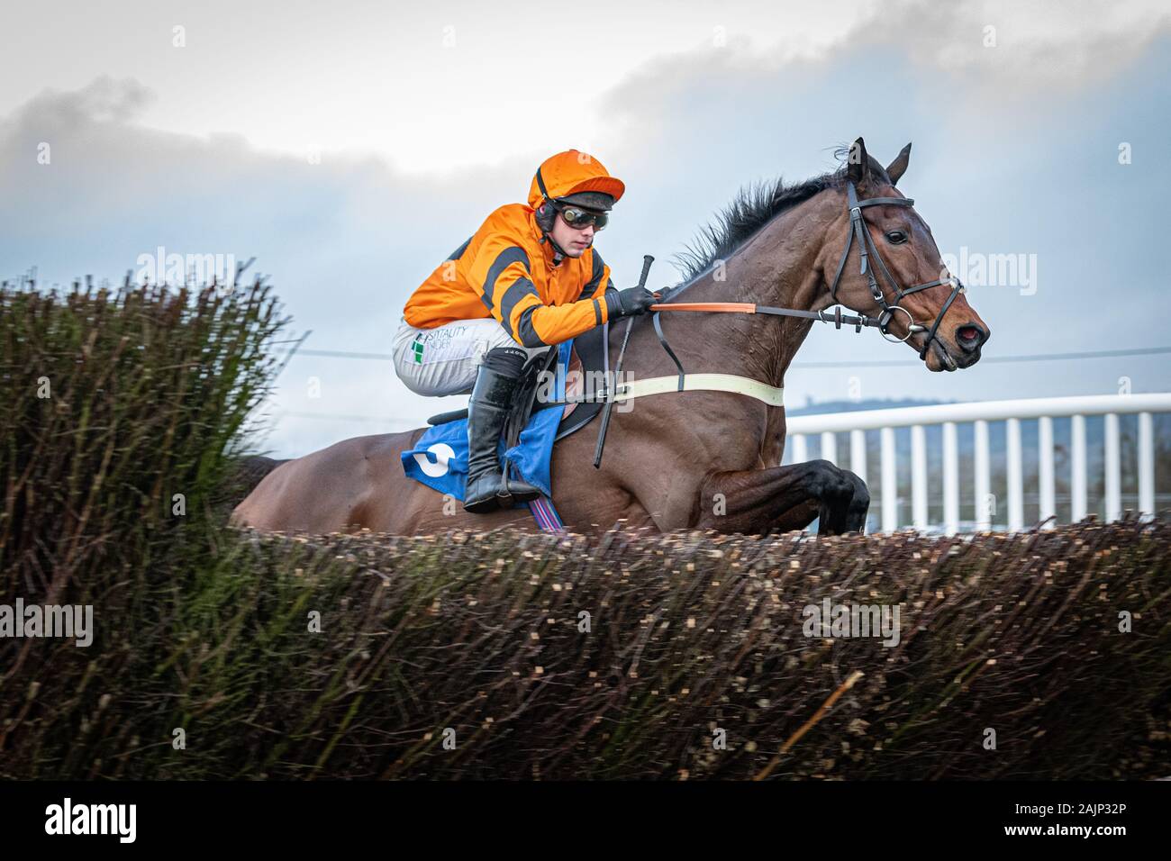 The horse Molineaux, ridden by Jonjo O'Neill Jr. and trained by Colin Tizzard, racing in to win the BoyleSports Handicap Steeple Chase at Wincanton Stock Photo