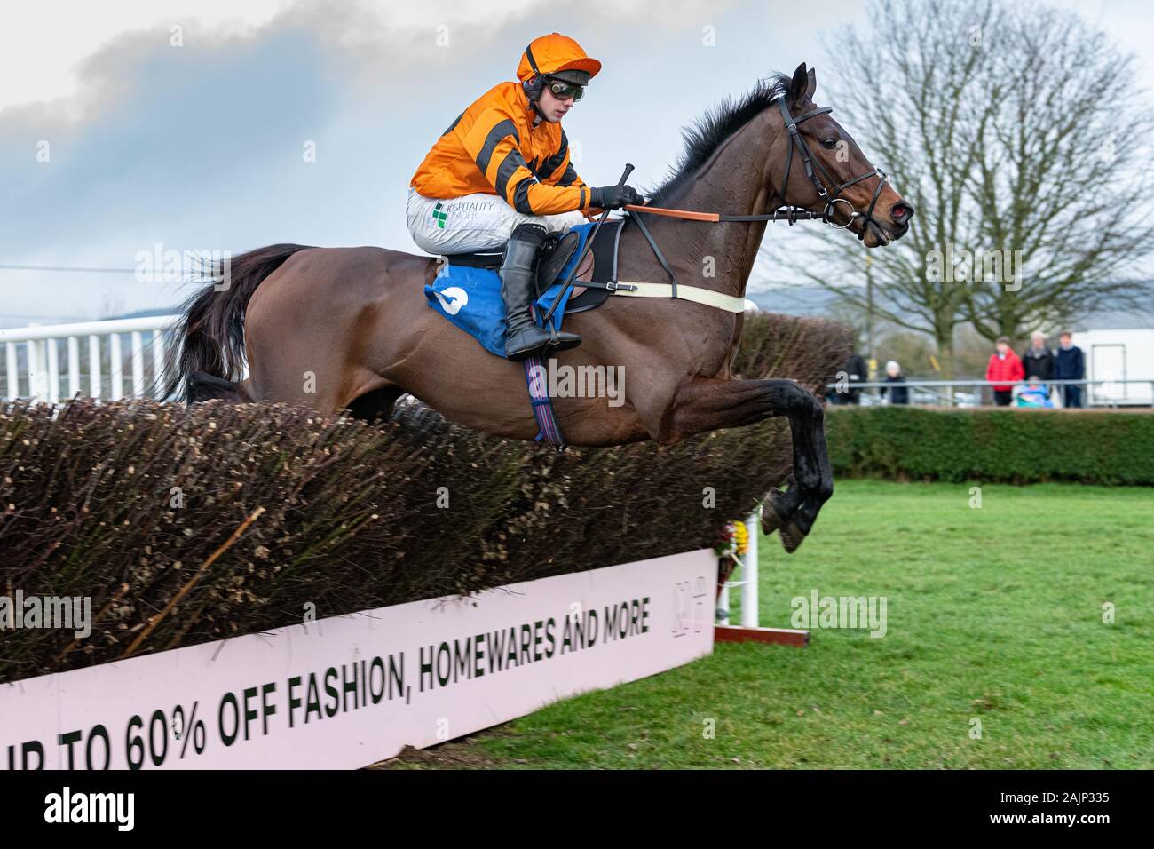 The horse Molineaux, ridden by Jonjo O'Neill Jr. and trained by Colin Tizzard, racing in to win the BoyleSports Handicap Steeple Chase at Wincanton Stock Photo