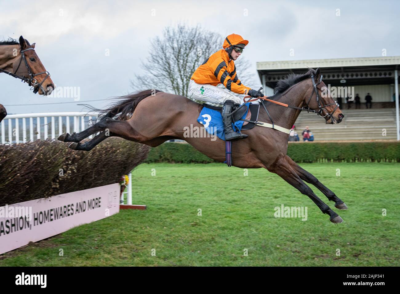 The horse Molineaux, ridden by Jonjo O'Neill Jr. and trained by Colin Tizzard, racing in to win the BoyleSports Handicap Steeple Chase at Wincanton Stock Photo