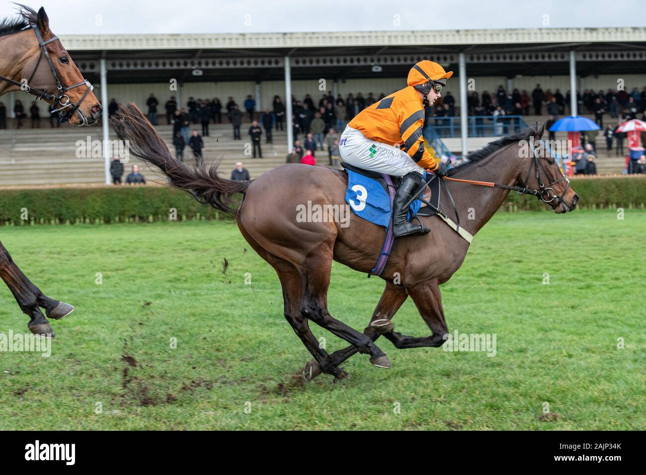 The horse Molineaux, ridden by Jonjo O'Neill Jr. and trained by Colin Tizzard, racing in to win the BoyleSports Handicap Steeple Chase at Wincanton Stock Photo