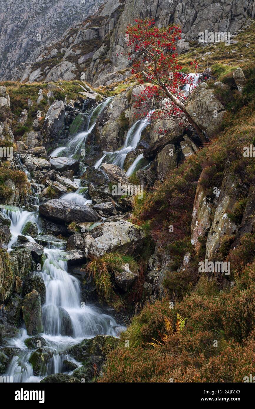 A small mountain stream from Llyn Bochlwyd to Llyn Ogwen. The mountain in the background is Tryfan. Stock Photo